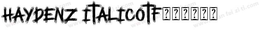 Haydenz Italicotf字体转换